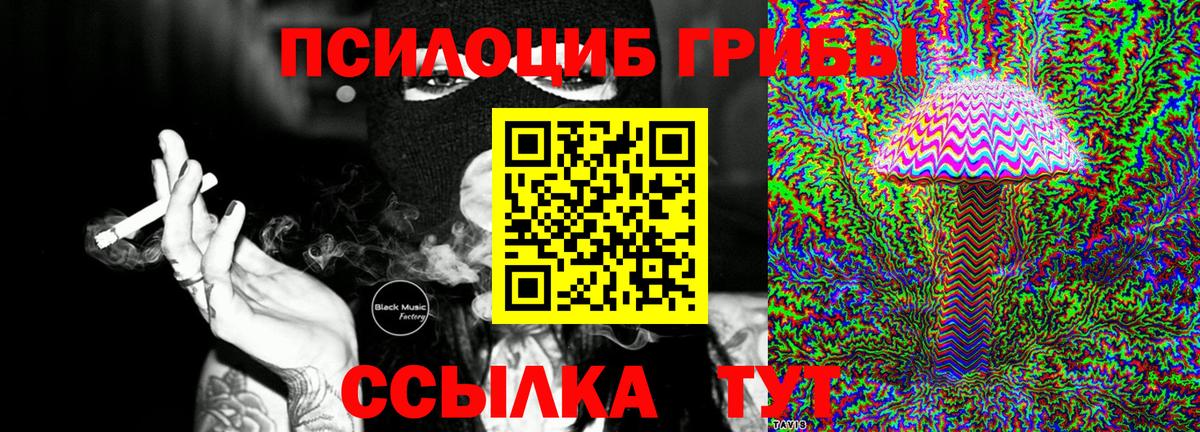 Советский  Галлюциногенные грибы прущие грибы  Псилоцибиновые грибы мухоморы  Вход с VPN 